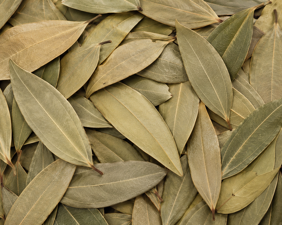 Bay Leaves (Tejpatta) – Aromatic Barks & Leaves