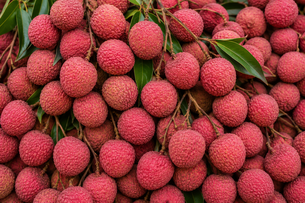 Fruits – JKRP Agro Ways