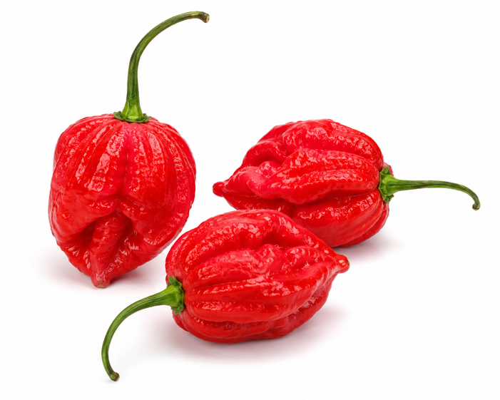 Heat & Pepper – JKRP Agro Ways