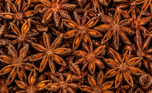 Star Anise – Aromatic Barks & Leaves